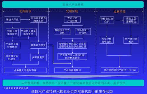 高技術產(chǎn)品企業(yè)盈利能力提升案例Ⅳ 以戰(zhàn)略咨詢?yōu)榛c，驅動技術賦能與價值變現(xiàn)